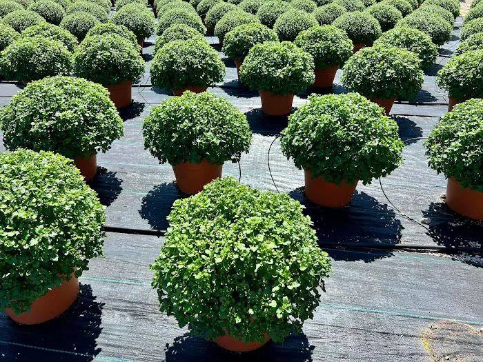Peru Greenhouses & Landscaping Picture 3