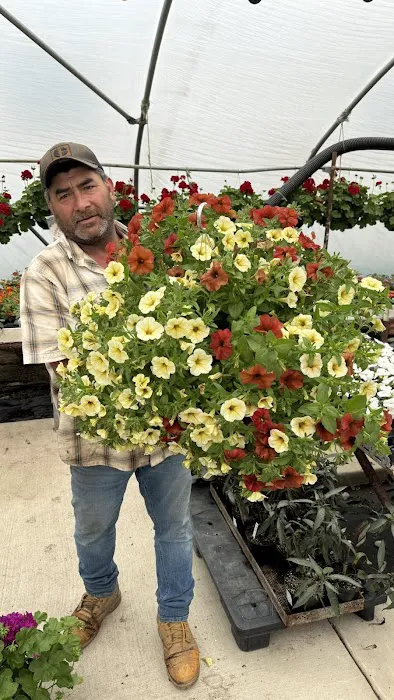 Peru Greenhouses & Landscaping Picture 9