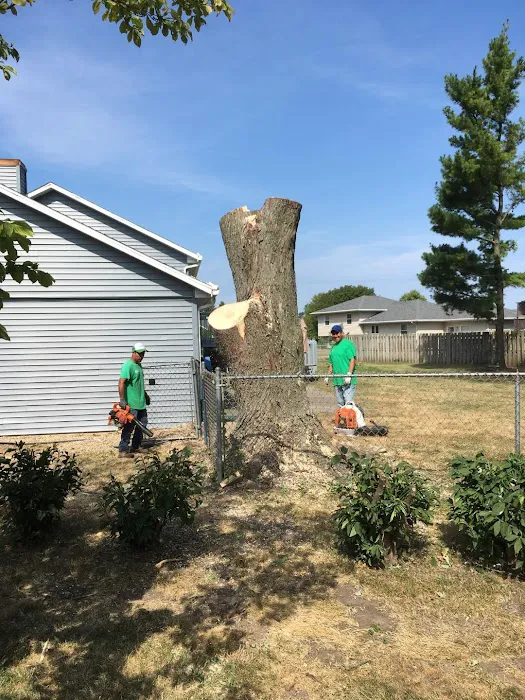 River Landscaping & Tree Service Picture 4