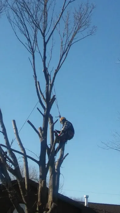River Landscaping & Tree Service Picture 6