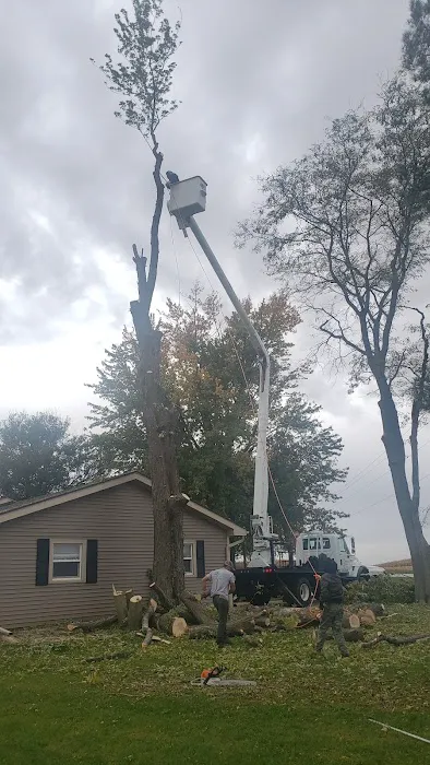 River Landscaping & Tree Service Picture 5