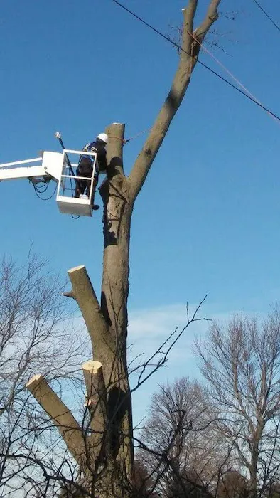 River Landscaping & Tree Service Picture 10