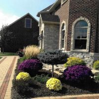 D & M Landscaping & Excavating, L.L.C. ico