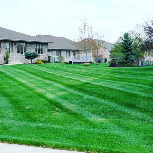Myers Landscaping Picture 9