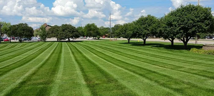 Myers Landscaping Picture 1