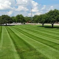 Myers Landscaping ico