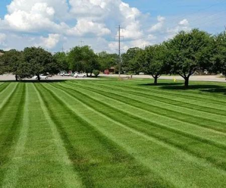 Myers Landscaping
