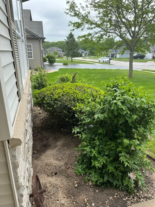 F&G Family Landscaping Co. Picture 8