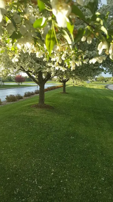 Hawker Landscaping Solutions Picture 6