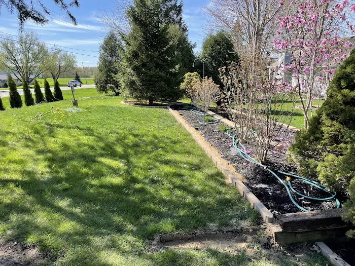 Ramos & Sons Landscaping Picture 2