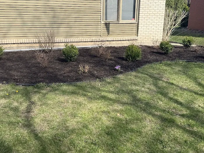 Ramos & Sons Landscaping Picture 5