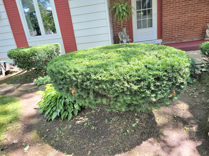 U.R.B. Brothers Landscaping Picture 6