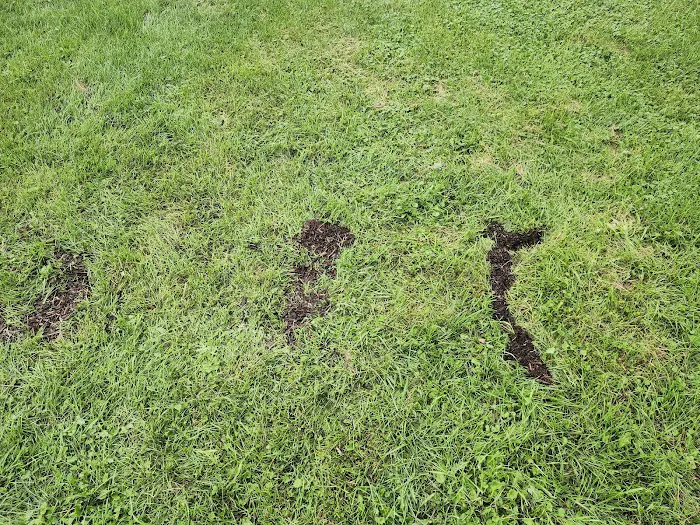 R Larson & Sons Landscaping Picture 3