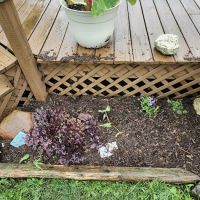 R Larson & Sons Landscaping ico