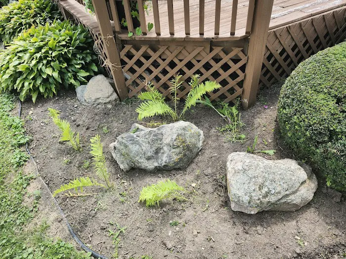 R Larson & Sons Landscaping Picture 2