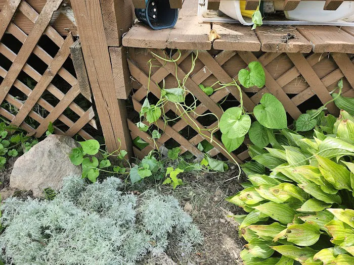R Larson & Sons Landscaping Picture 7