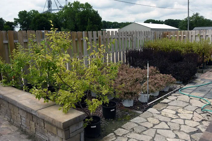 Andy's Professional Landscaping Picture 4