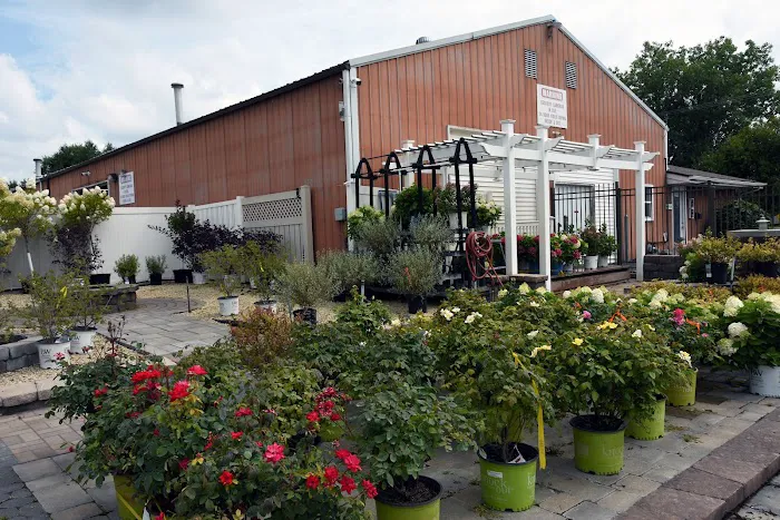 Andy's Professional Landscaping Picture 8