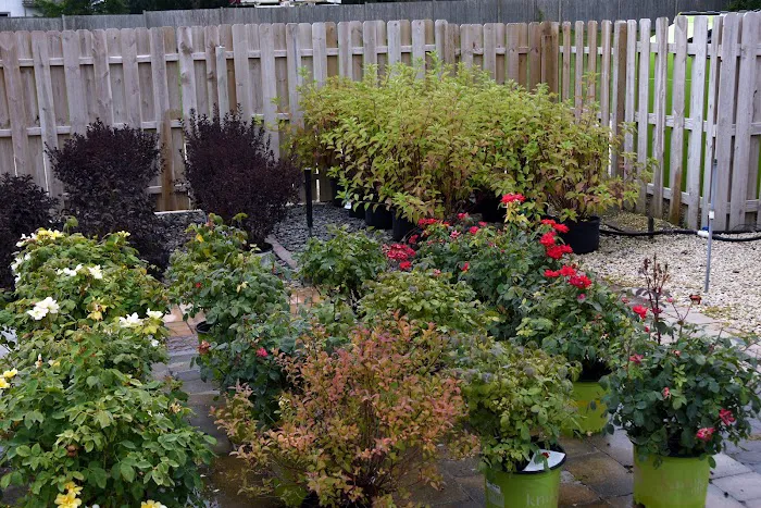 Andy's Professional Landscaping Picture 9