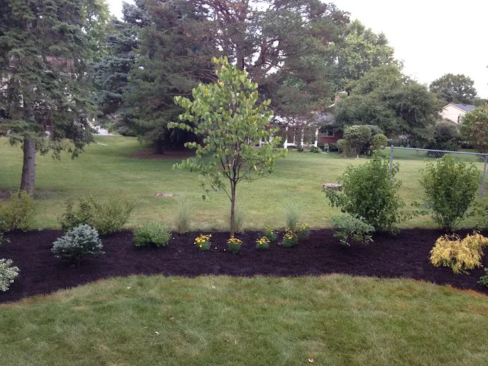 M2 Landscaping LLC Picture 2