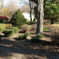 Calacci Landscaping ico