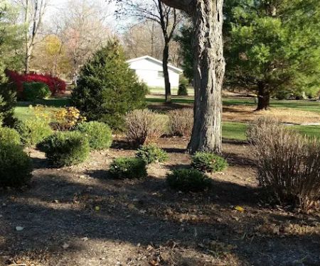 Calacci Landscaping