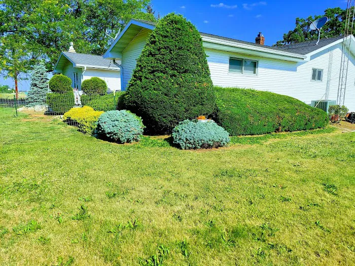 Green Cuts Landscaping Picture 6