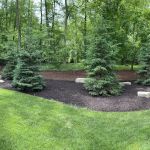 Green Cuts Landscaping