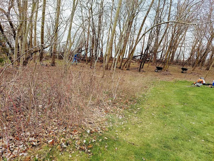 Green Cuts Landscaping Picture 4