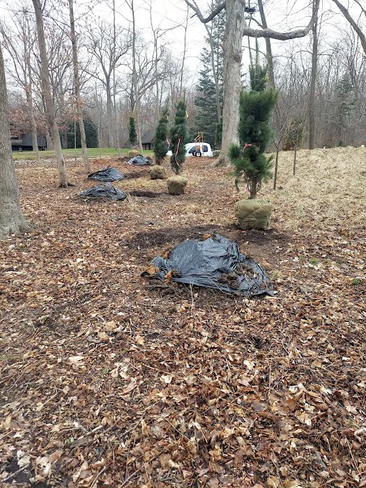 Green Cuts Landscaping Picture 3