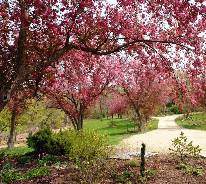 Botanica Fine Gardens and Landscapes Picture 2