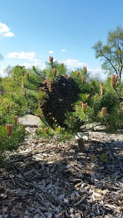 Botanica Fine Gardens and Landscapes Picture 7