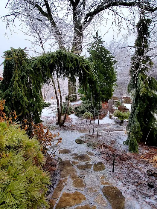 Botanica Fine Gardens and Landscapes Picture 1