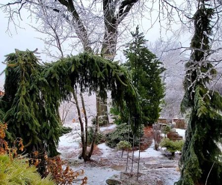 Botanica Fine Gardens and Landscapes