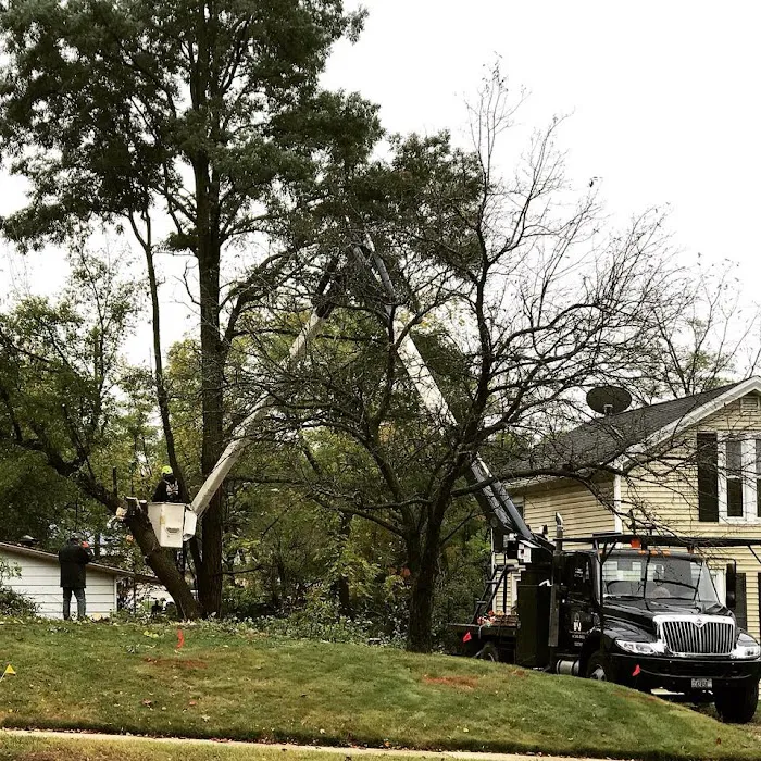 B & J Tree & Landscape Service Picture 3