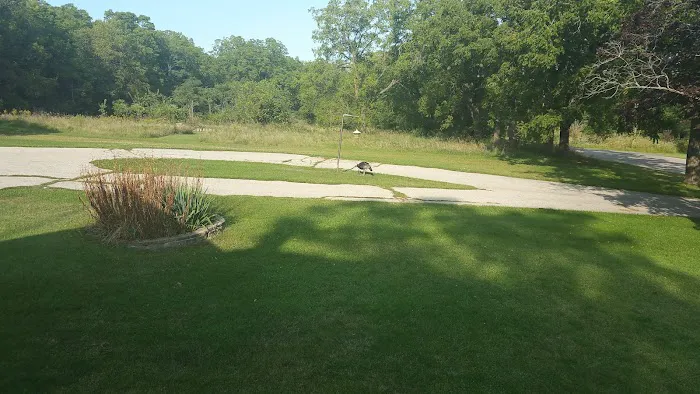 B & J Tree & Landscape Service Picture 9
