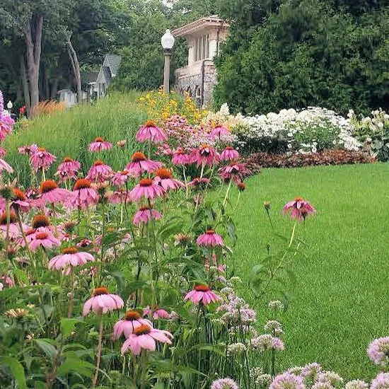 Sheldon Landscape Picture 5