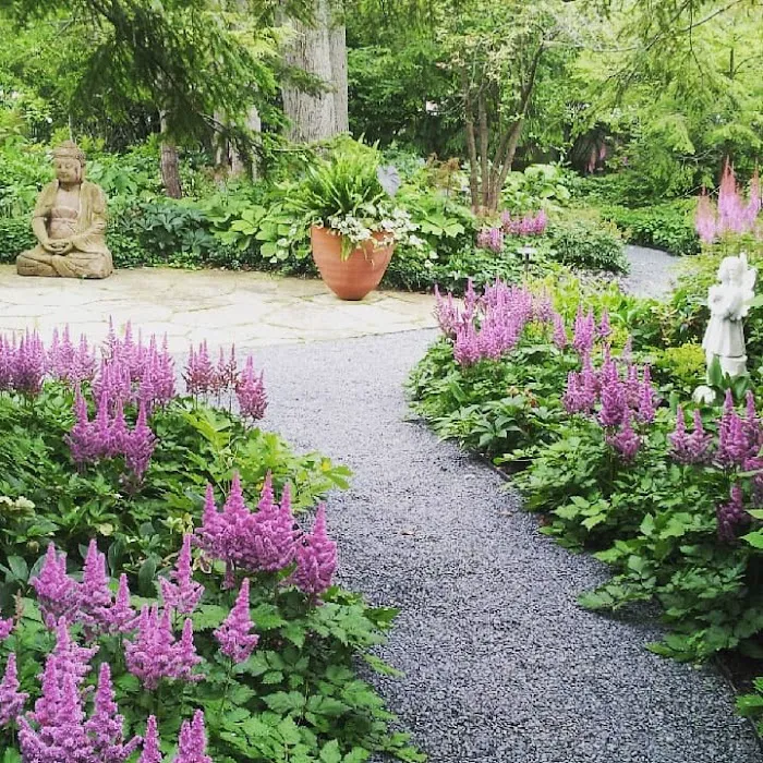 Sheldon Landscape Picture 8