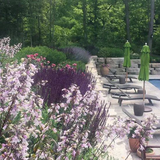 Sheldon Landscape Picture 2