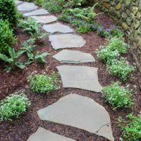 Green Pine Landscaping Inc. ico