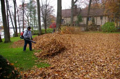 Green Pine Landscaping Inc. Picture 8