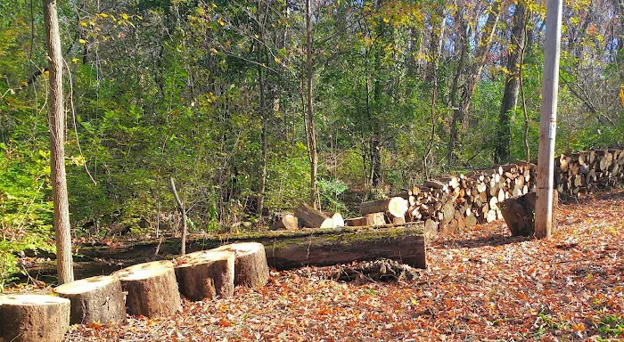 Delavan Landscaping Picture 4