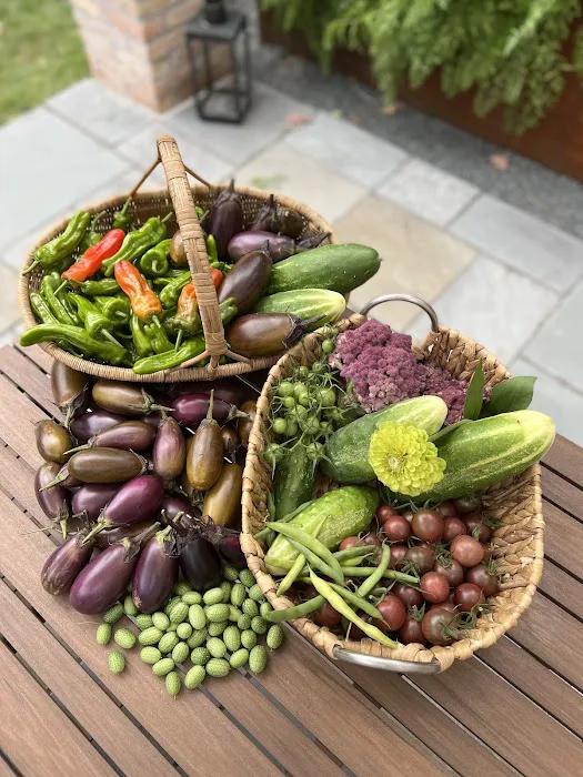 Katie Oglesby Edible Garden Designer: Kitchen Garden Design House Picture 8