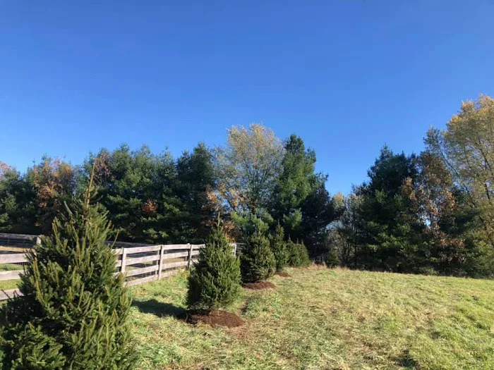 Diamond Landscape and Construction Services Inc Picture 3