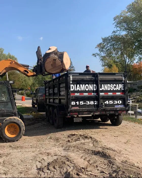 Diamond Landscape and Construction Services Inc Picture 7