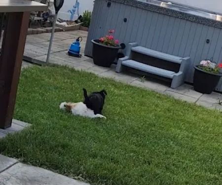 Premier Lawns Inc