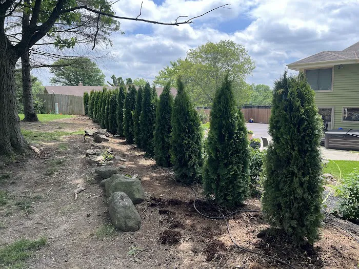 Trawicki Property Care LLC Picture 1