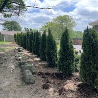 Trawicki Property Care LLC ico