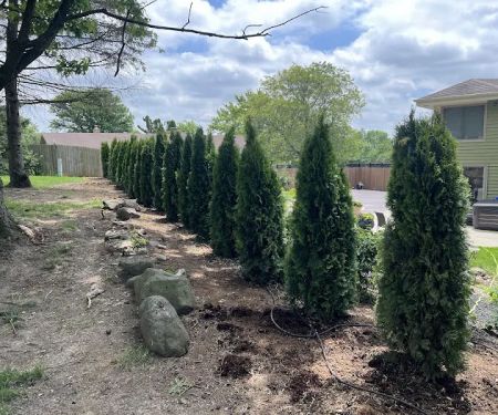 Trawicki Property Care LLC