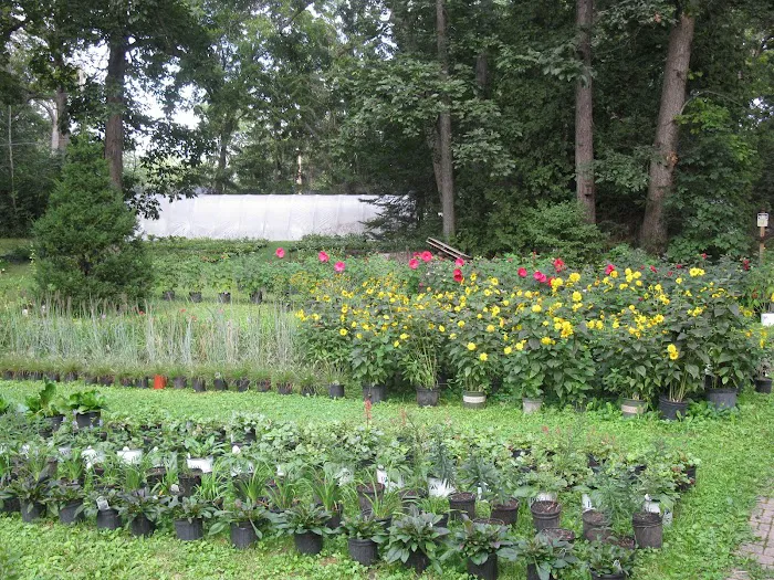 Horticultural Handiwork, Inc. Picture 3